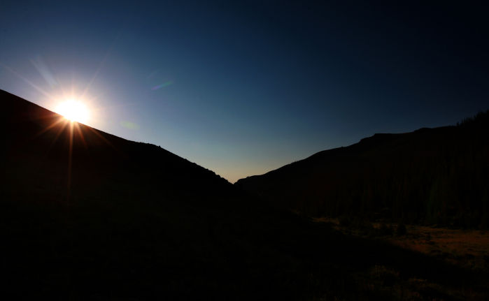 Grizzly Moth Site